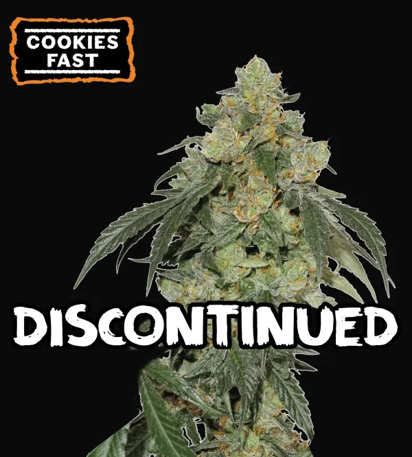 Cookies Fast