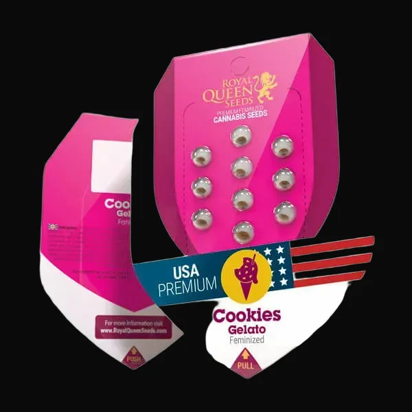 Cookies Gelato