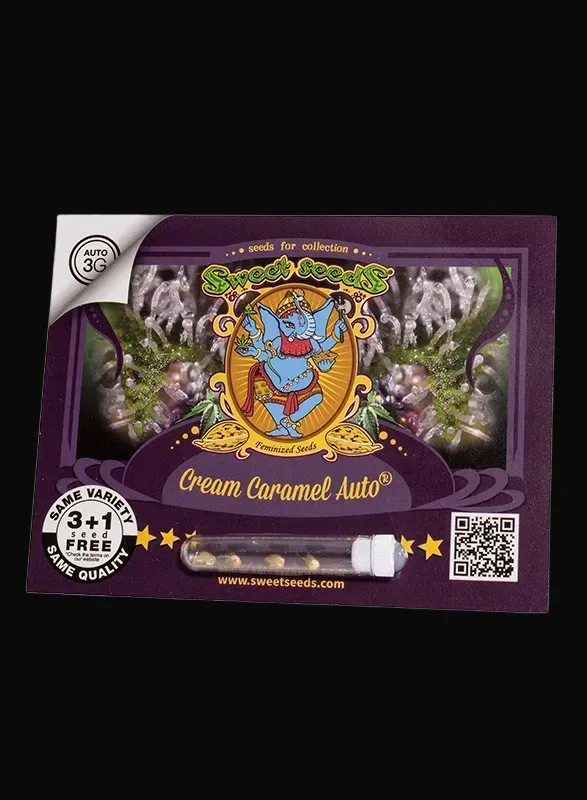 Cream Caramel Auto