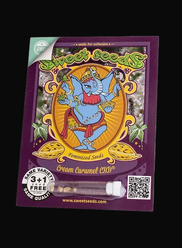Cream Caramel CBD