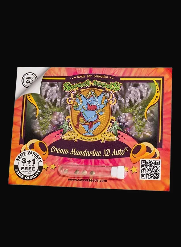 Cream Mandarine XL Auto