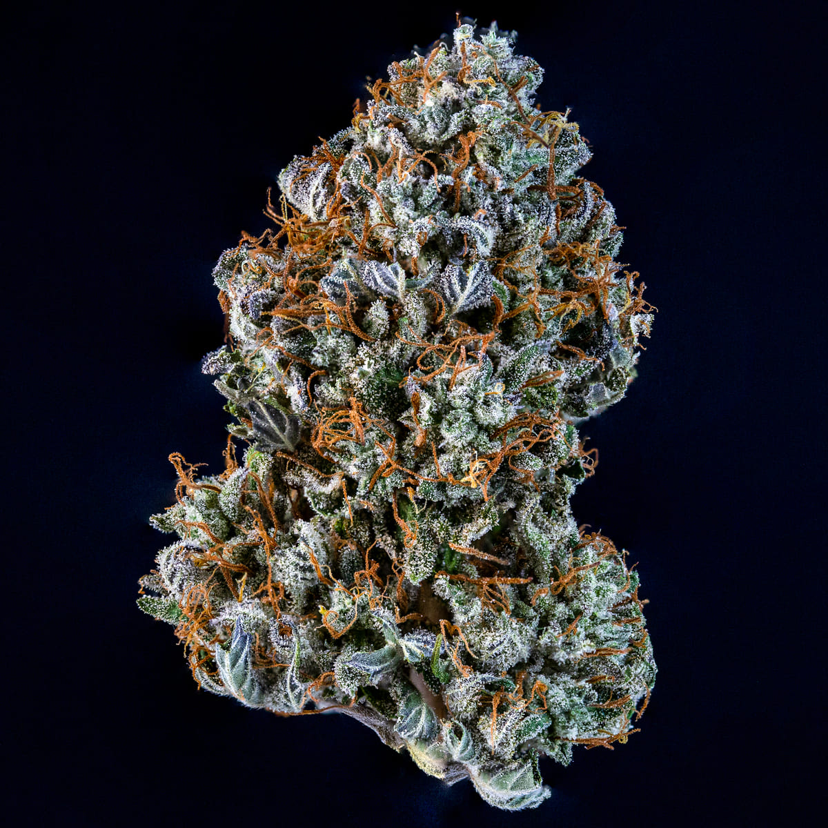 Creme de la Chem Auto