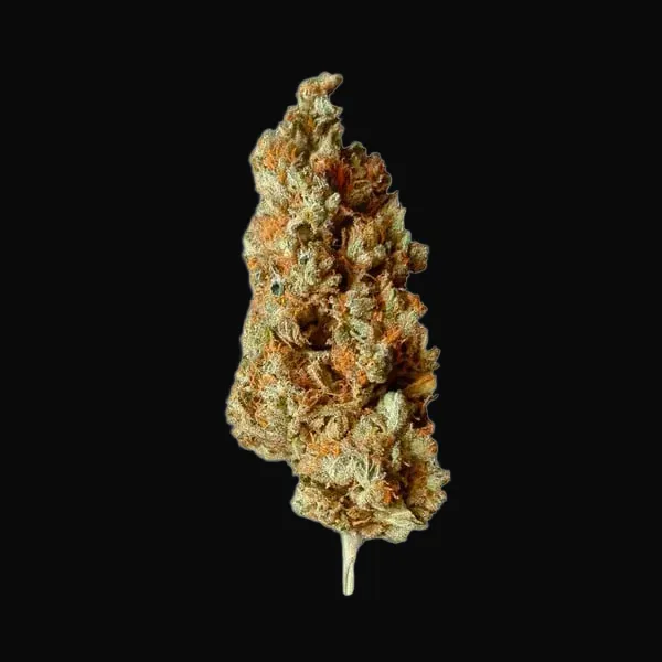 Critical