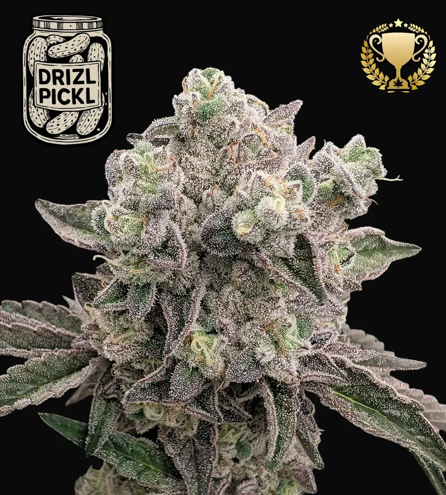 Drizl Pickl