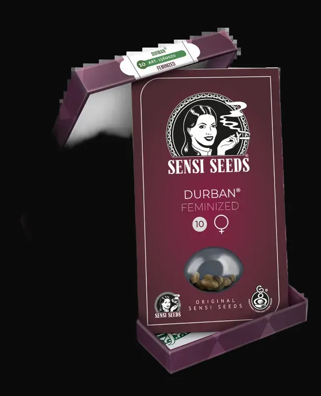 Durban Feminized