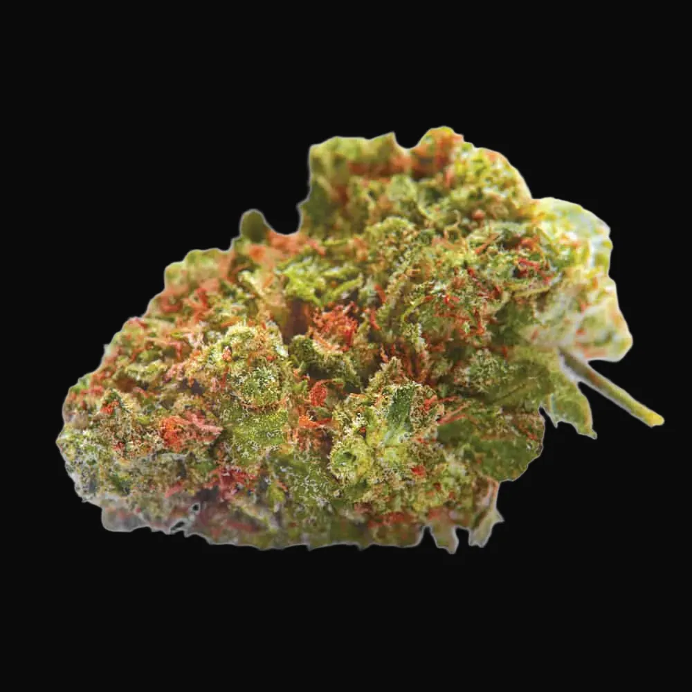 Euforia Special