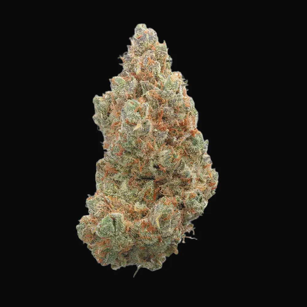 Everglades OG Auto