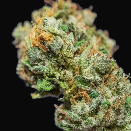 Frosty Friday