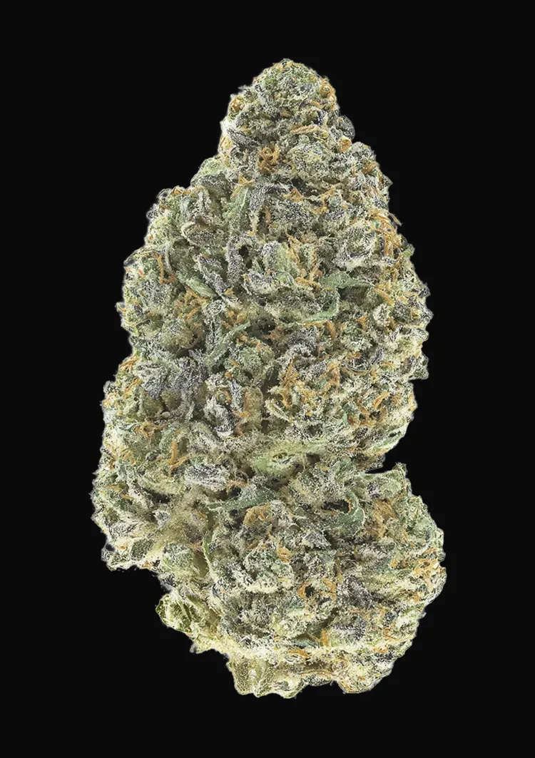 Garlic Mint Sherbet