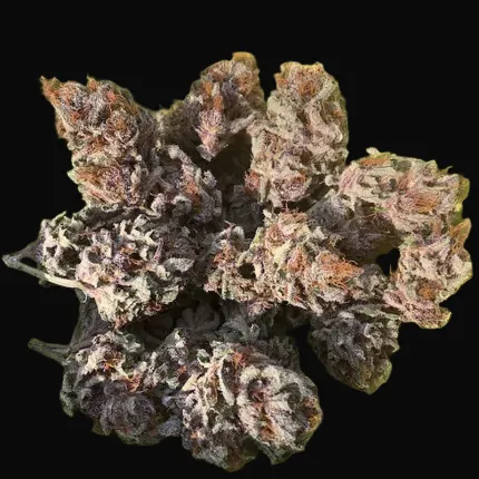 Golden Apple Haze