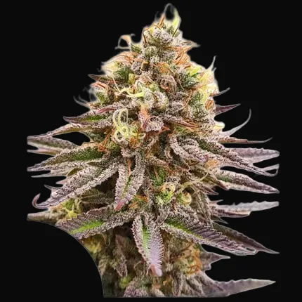 Gorilla Super Glue