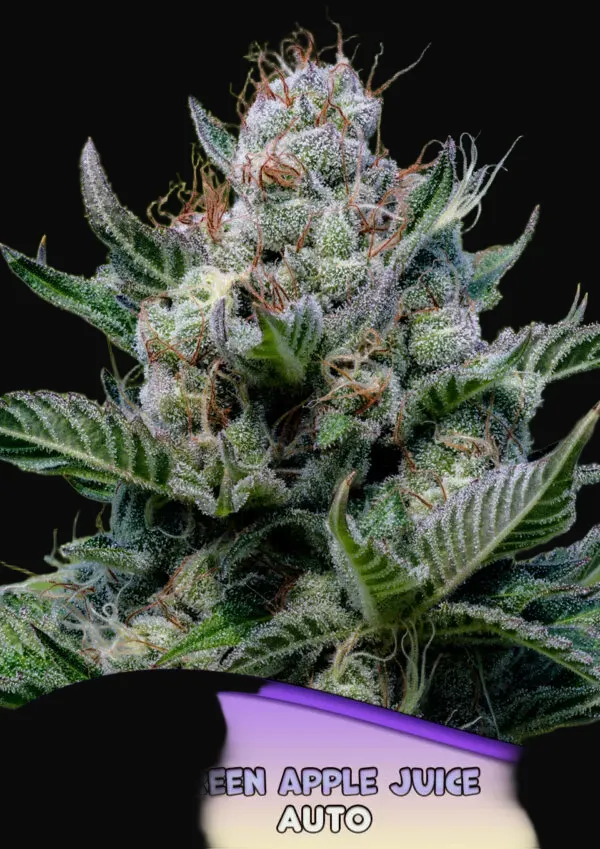 Green Apple Juice Auto