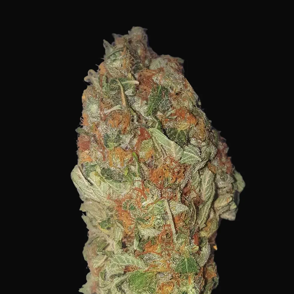 Green Candy