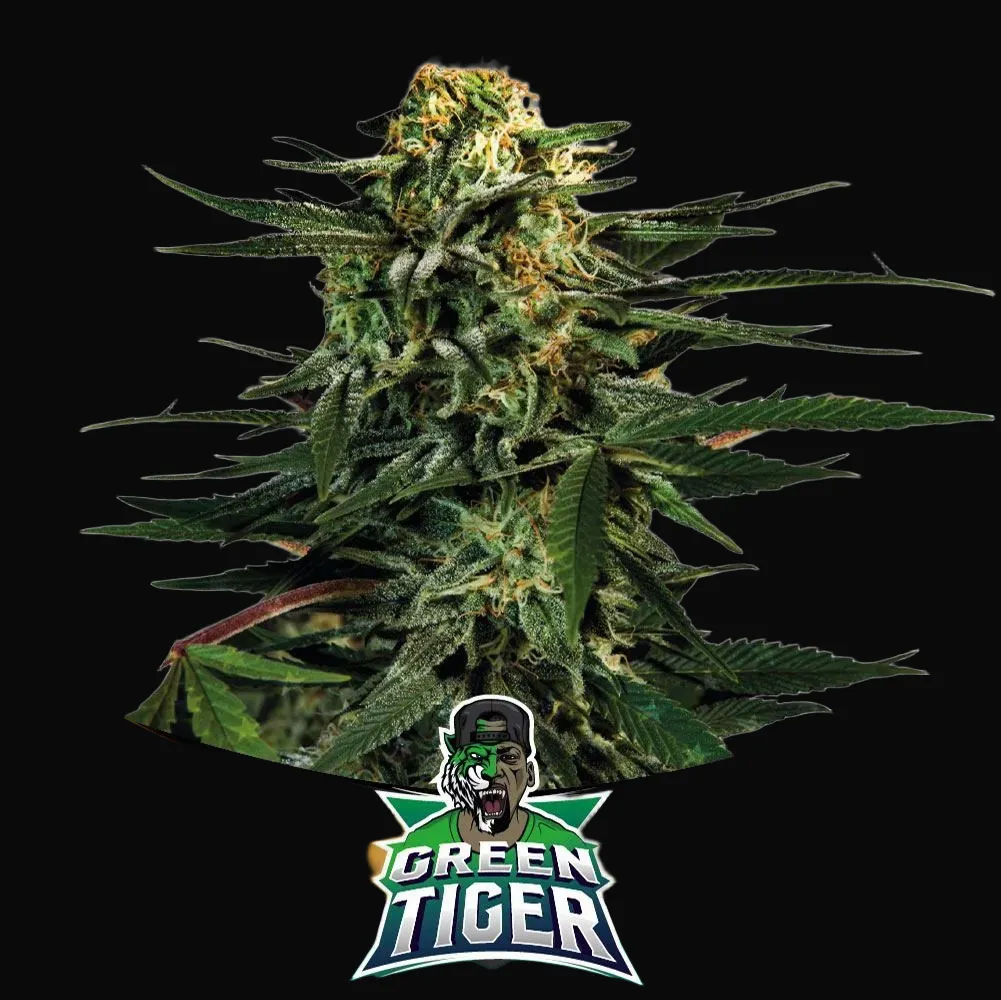 Green Tiger
