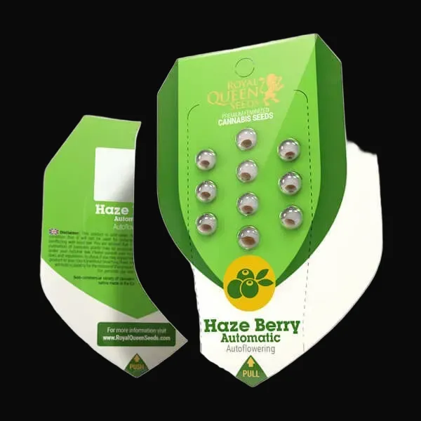 Haze Berry Auto