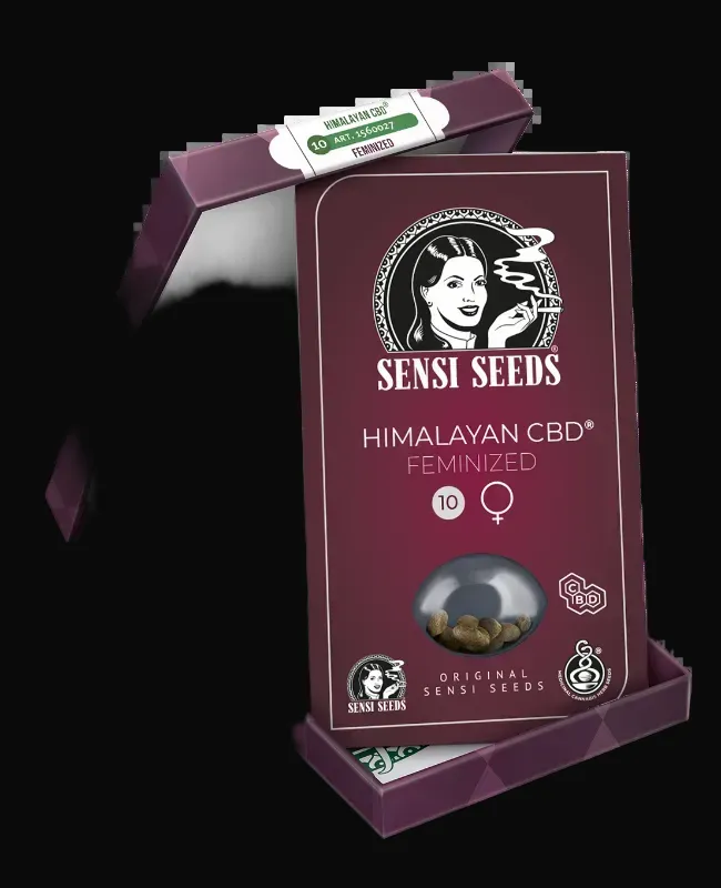 Himalayan CBD Feminized