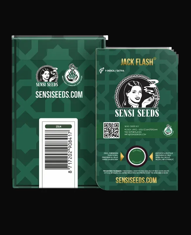 Jack Flash