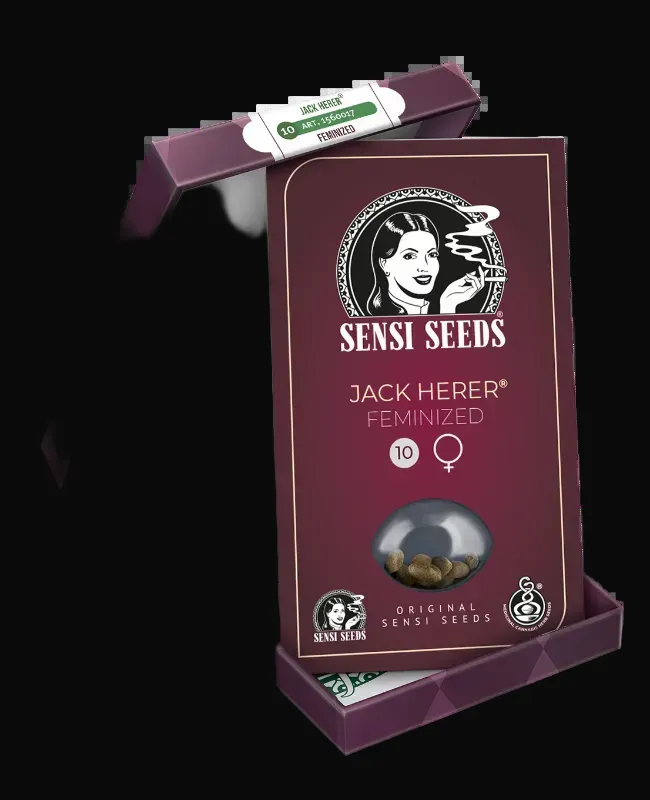 Jack Herer Feminized