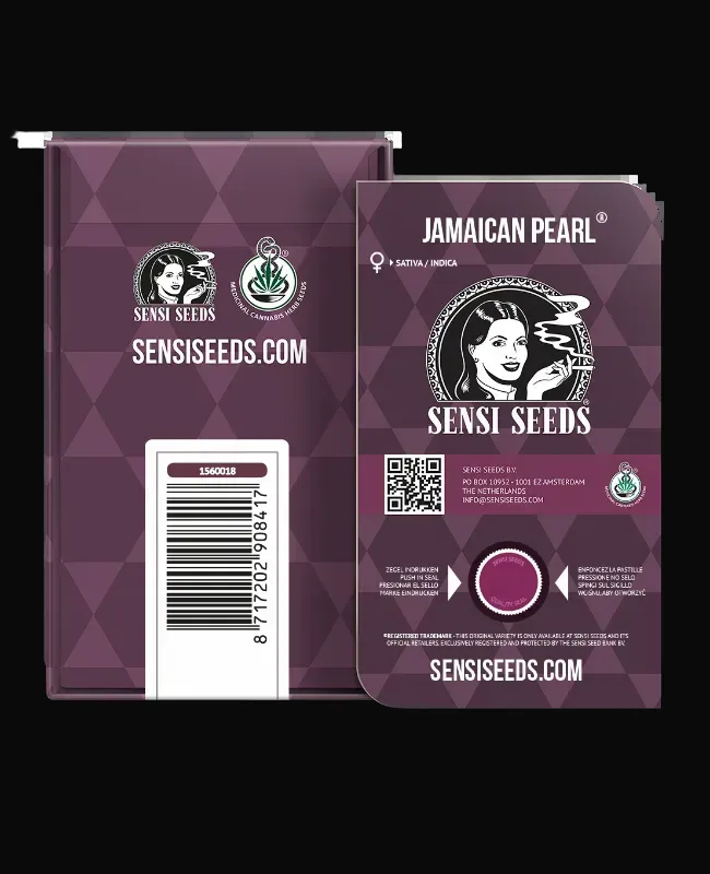 Jamaican Pearl Feminized