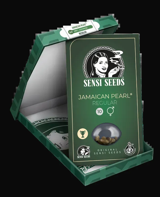 Jamaican Pearl Regular