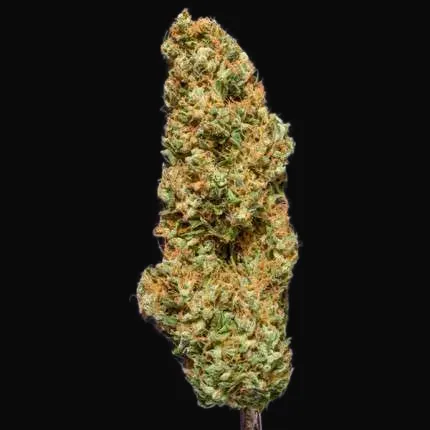 Kees' Old School Haze