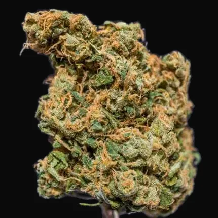 Kees' Old School Haze