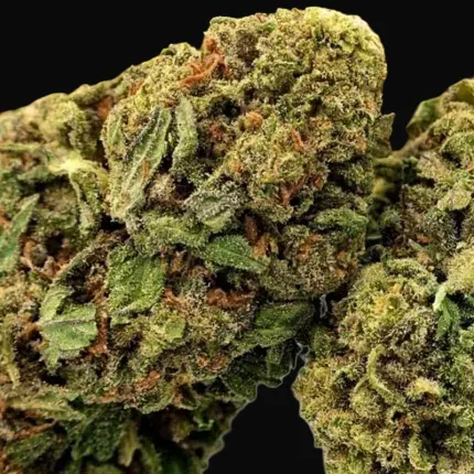 Kosher Haze