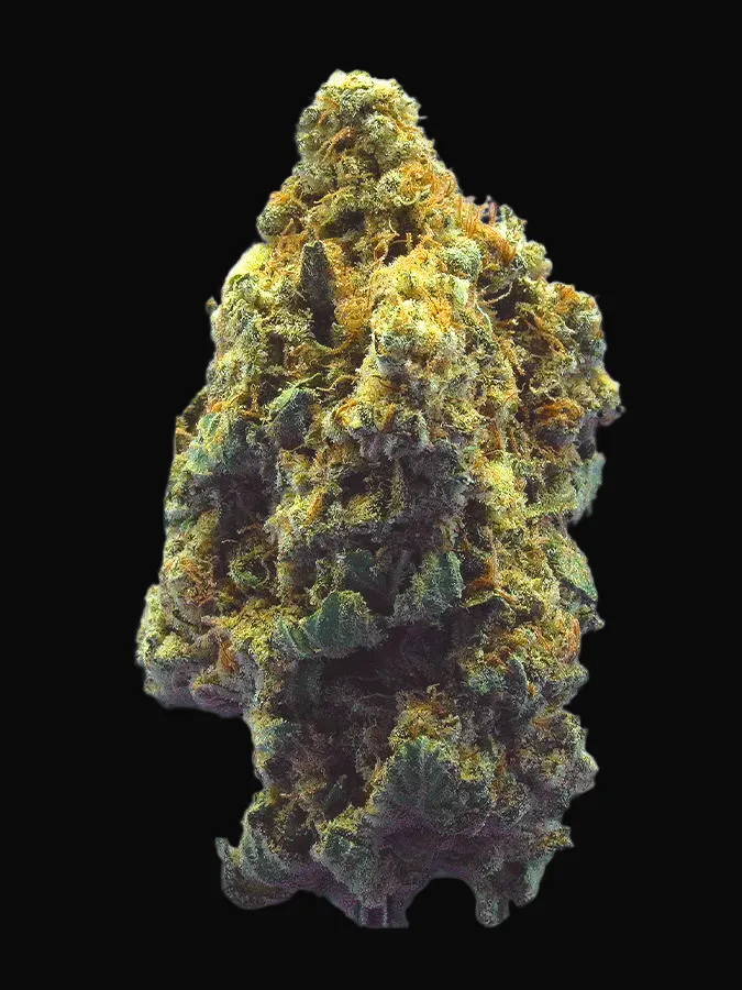 TB Kush