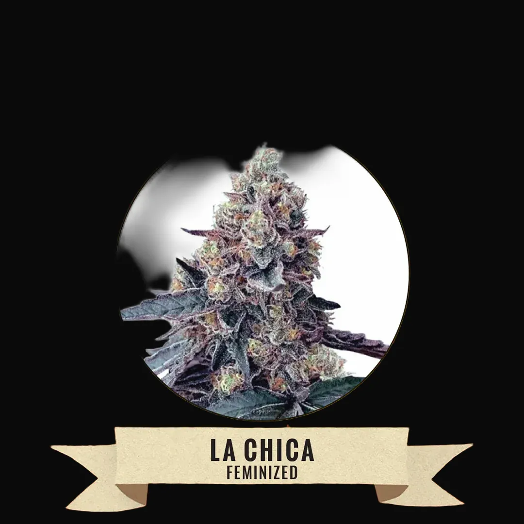 La Chica
