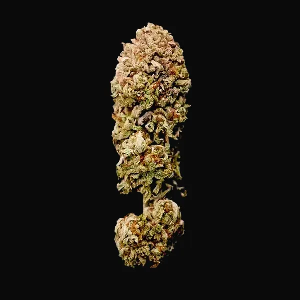 Legendary OG Punch