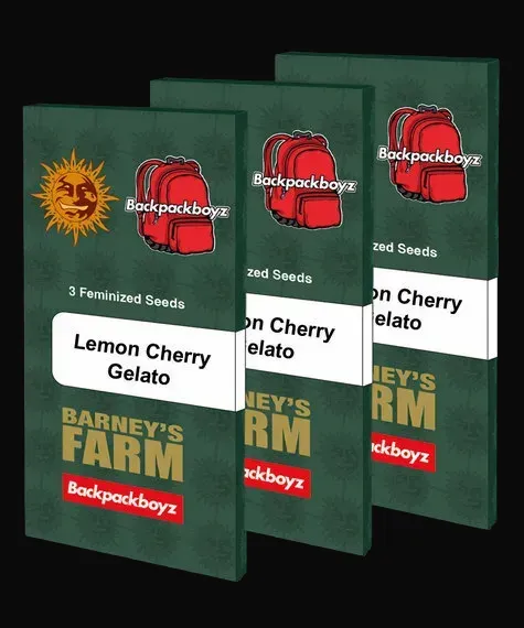 Lemon Cherry Gelato