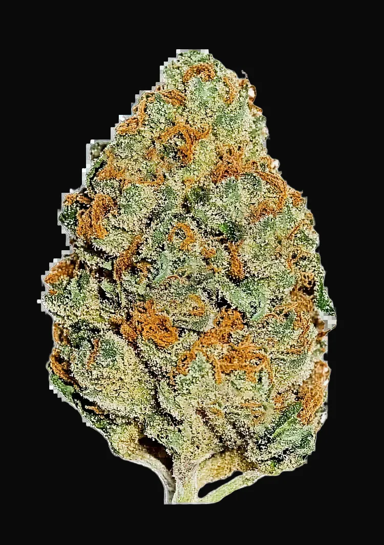 Lemon Mandarin
