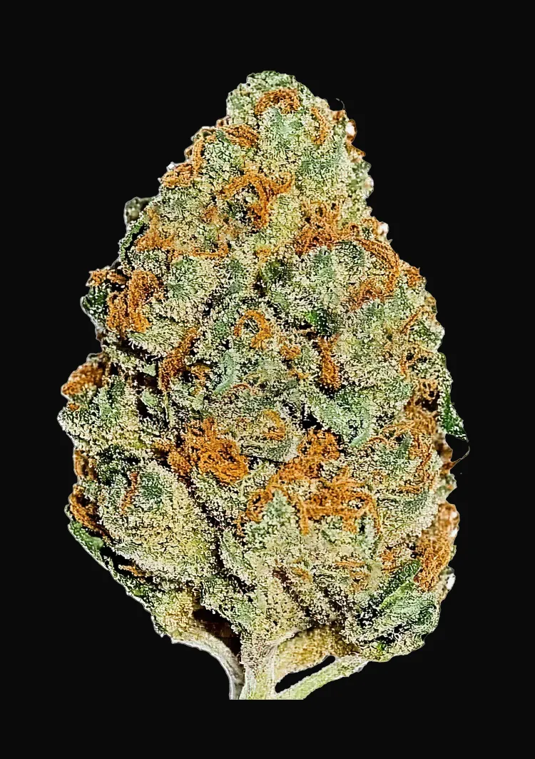 Lemon Mandarin