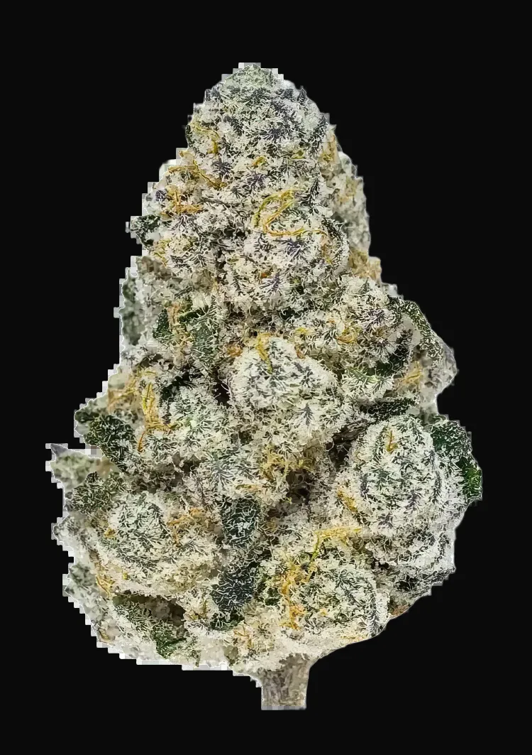 Lemonpaya