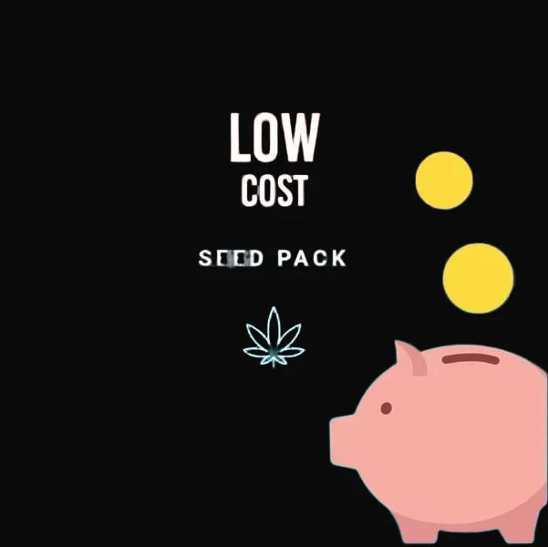 Low Cost Pack