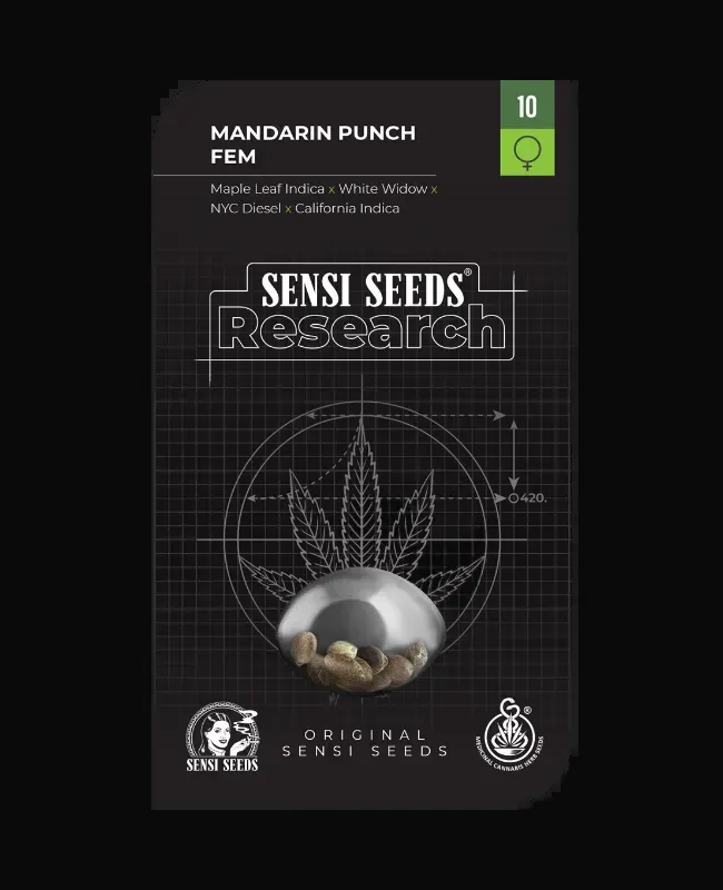 Mandarin Punch Feminized