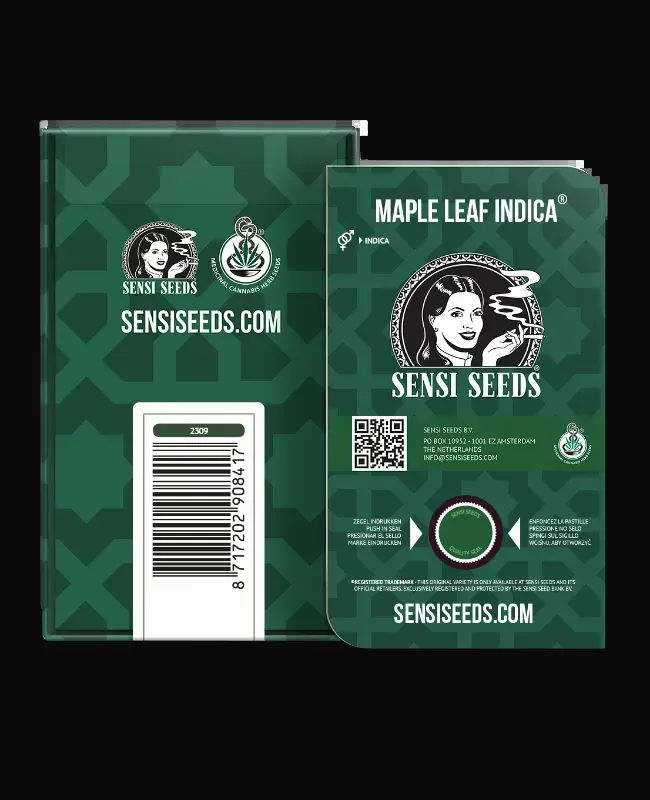 Maple Leaf Indica