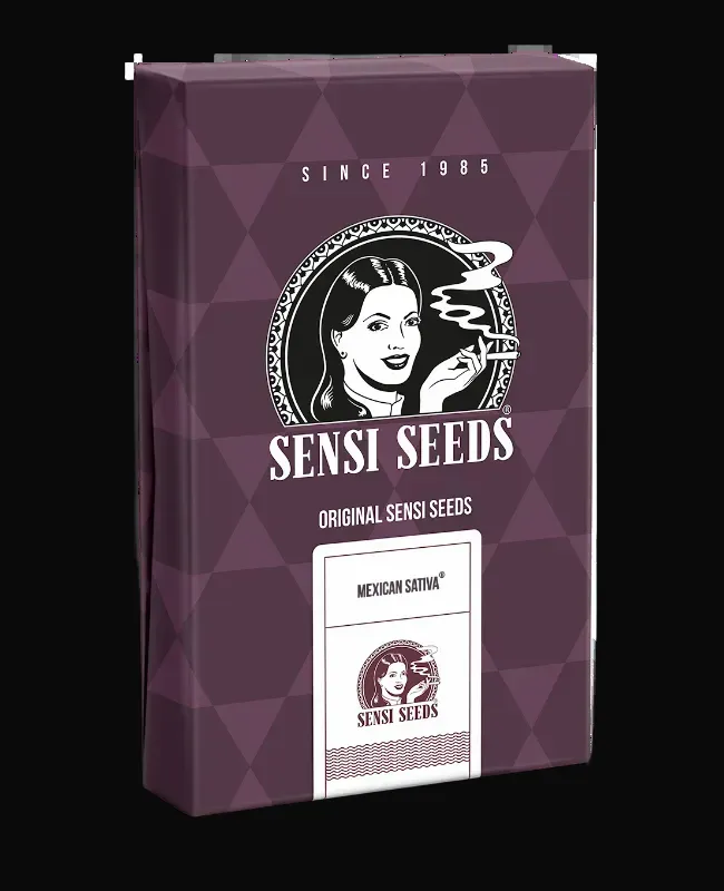 Mexican Sativa Feminized