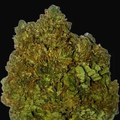 Money Bush