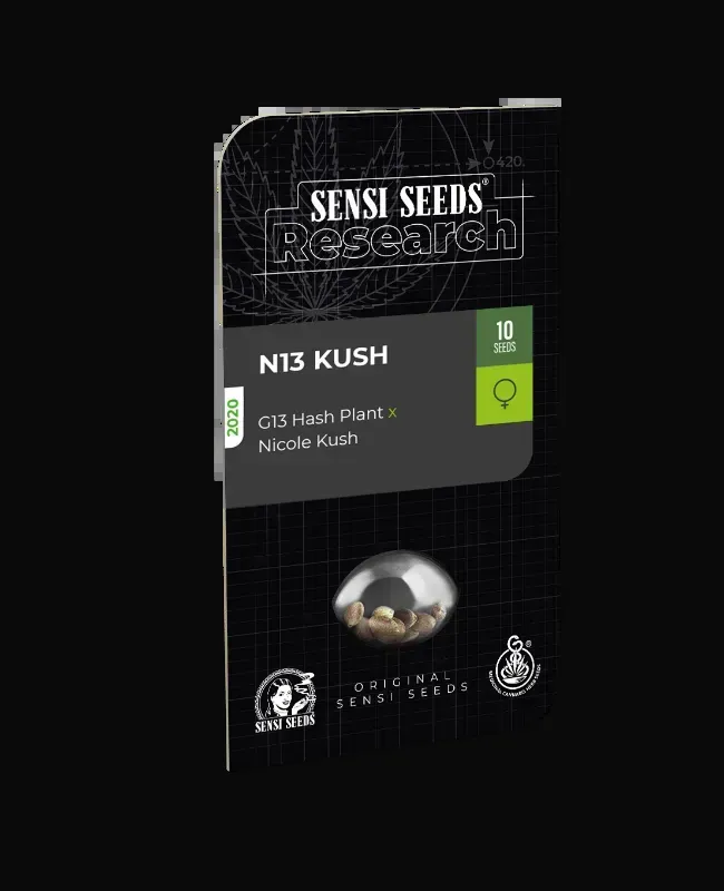 N13 Kush Feminized