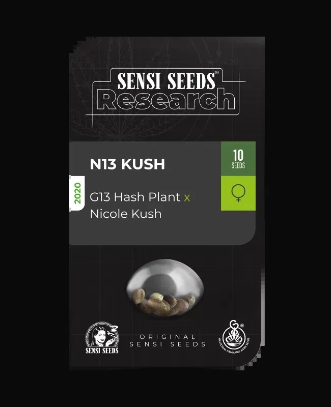 N13 Kush Feminized