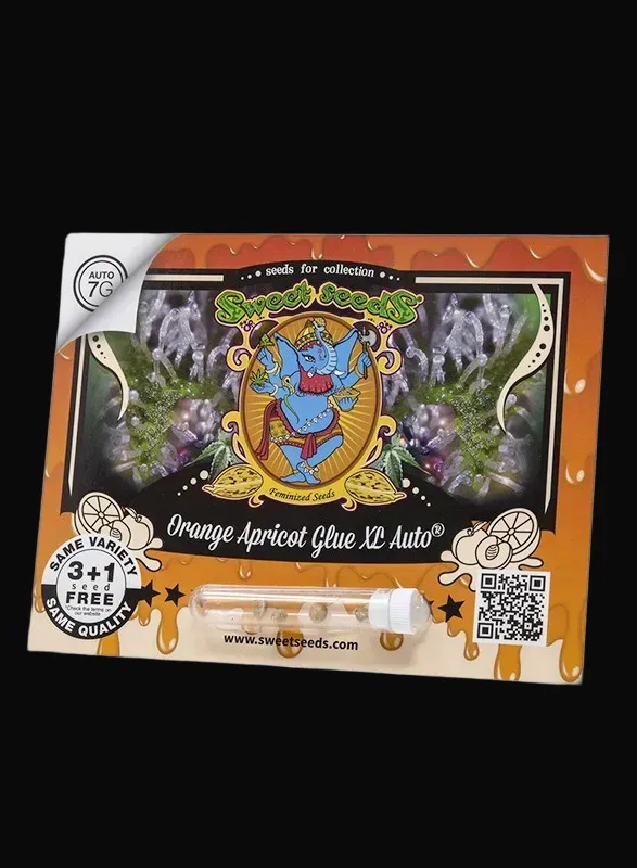 Orange Apricot Glue XL Auto