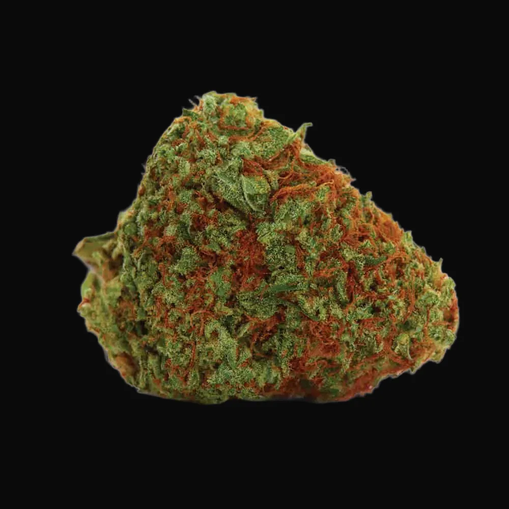 Original Orange Bud