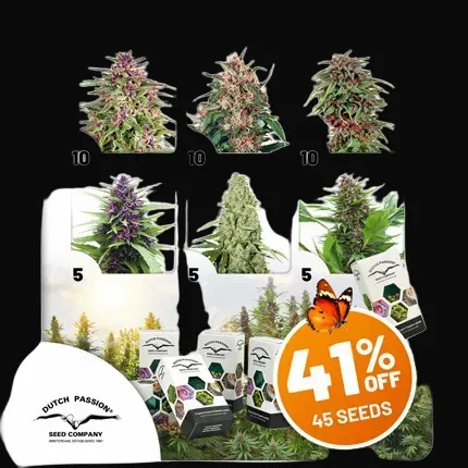 Outdoor Feminised Package Deal