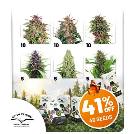 Outdoor Feminised Package Deal
