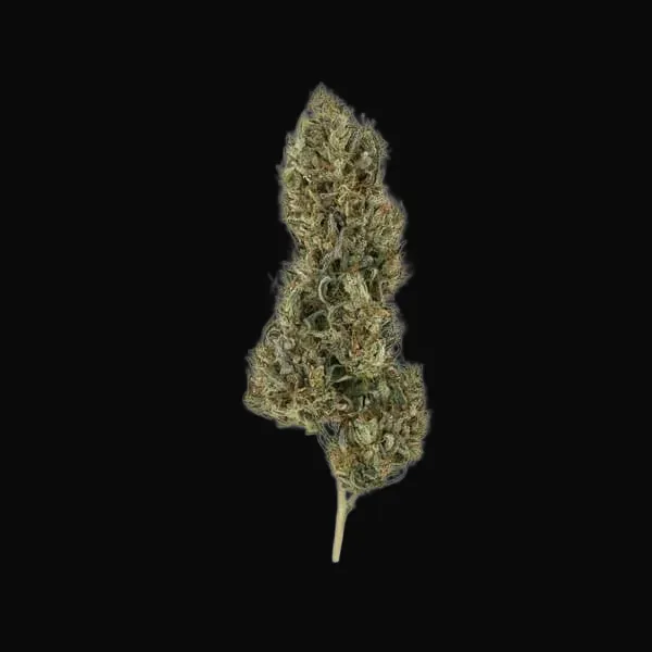 Painkiller XL