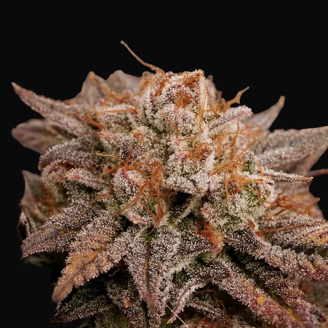 Peaches & Cream