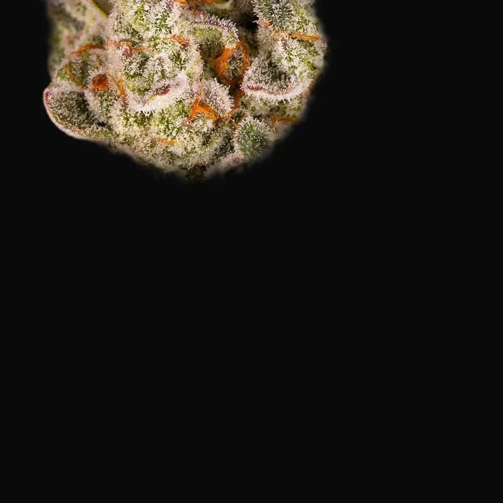 Pineapple Express