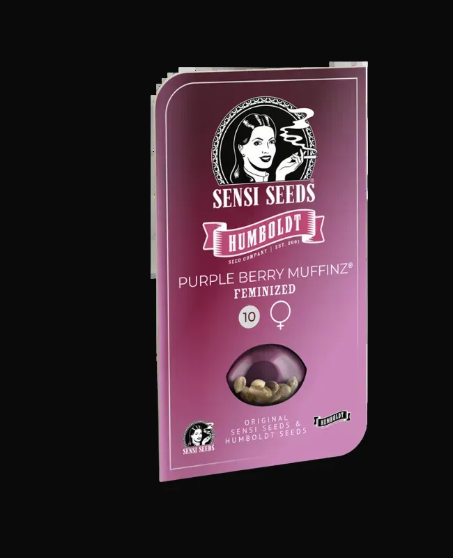 Purple Berry Muffinz Feminized