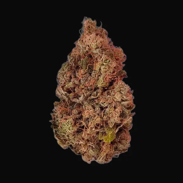 Purple Queen